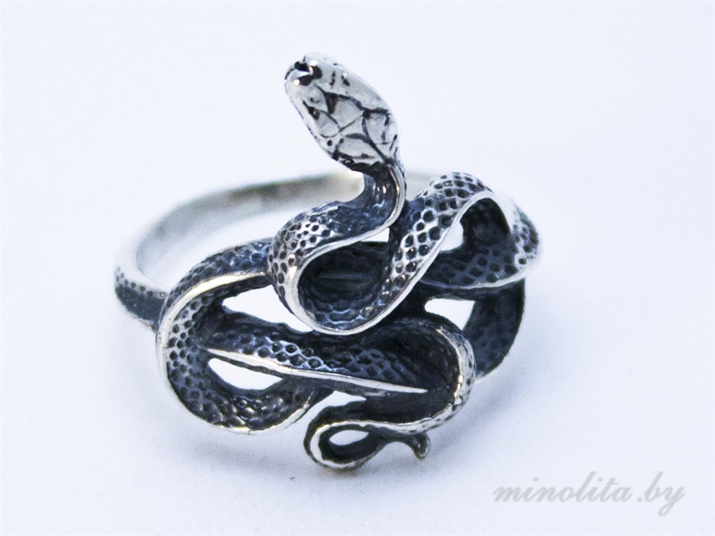 Кольцо жадного змея dark. Тиффани кольцо змея. Серебряное кольцо жадного змея. Кольцо змея дракон бирюза.